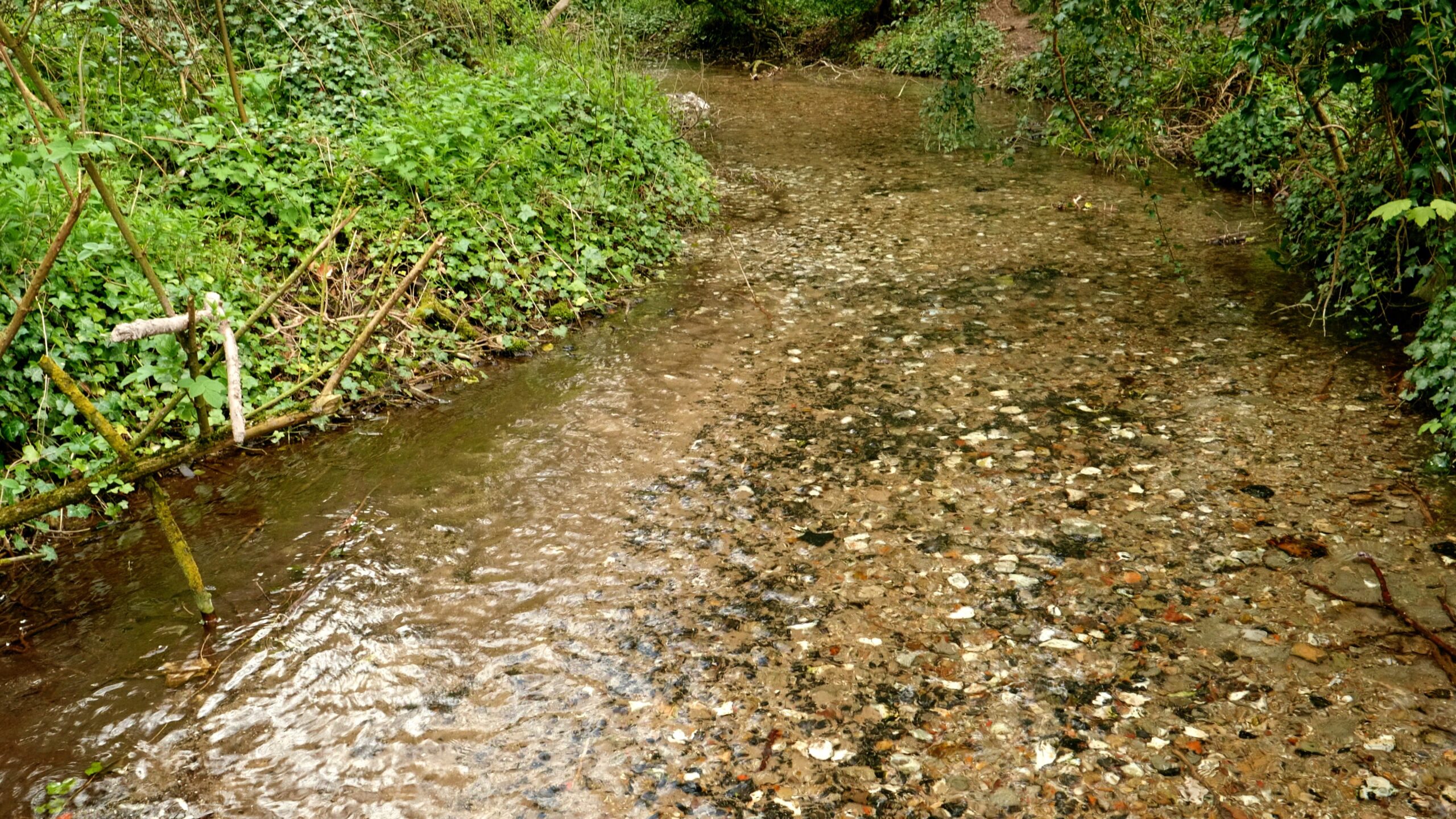 Spring water near Gaytom