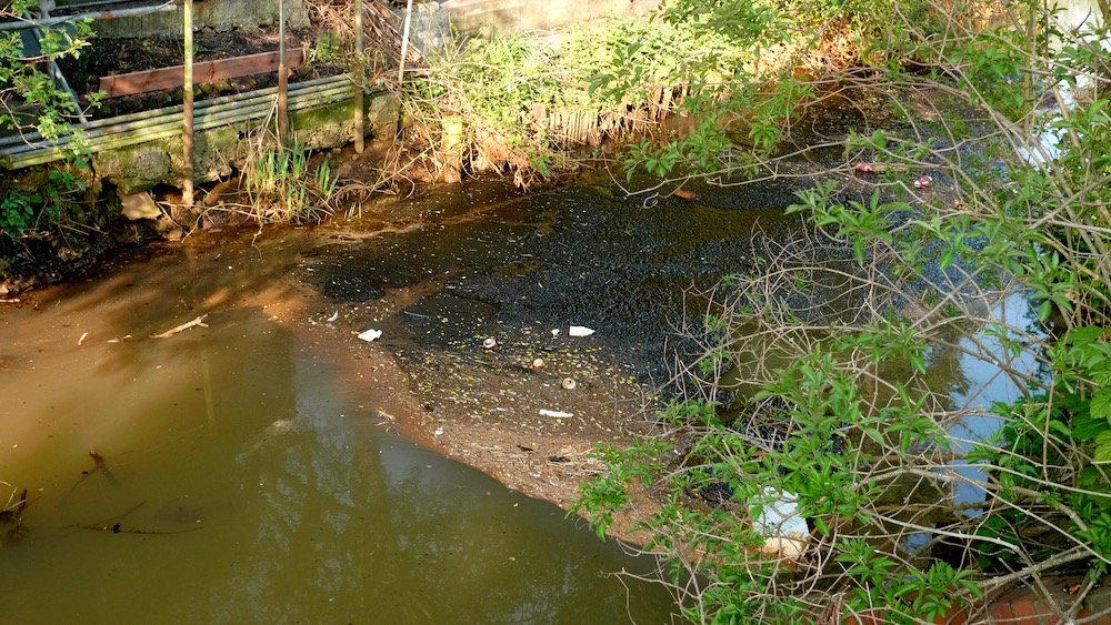 Gaywood River chokes with waste